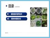 【名师特供】2.1.1《植物细胞工程的基本技术》 课件 人教版高中生物选修三