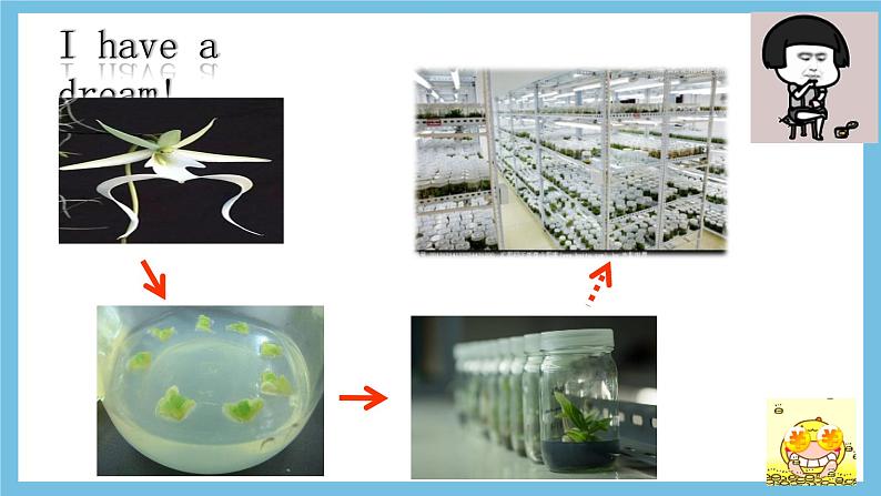 【名师特供】2.1.2《植物细胞工程的应用》 课件 人教版高中生物选修三03