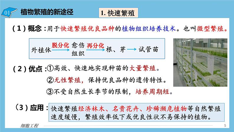 【名师特供】2.1.2《植物细胞工程的应用》 课件 人教版高中生物选修三05