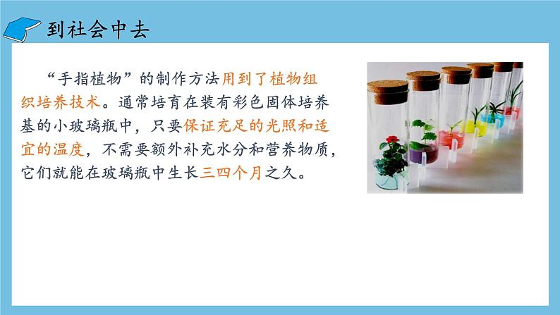 【名师特供】2.1.2《植物细胞工程的应用》 课件 人教版高中生物选修三07