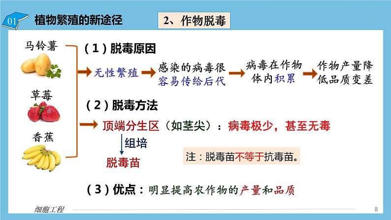 【名师特供】2.1.2《植物细胞工程的应用》 课件 人教版高中生物选修三08