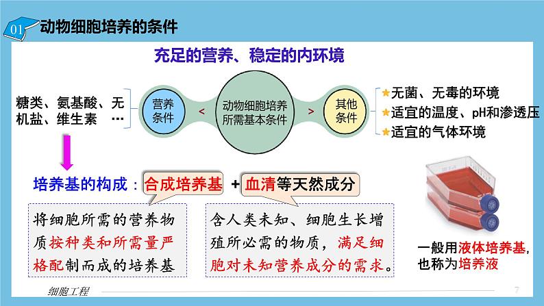 【名师特供】2.2.1《动物细胞培养》 课件 人教版高中生物选修三07