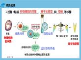 【名师特供】2.3.2《胚胎工程的操作技术》 课件 人教版高中生物选修三