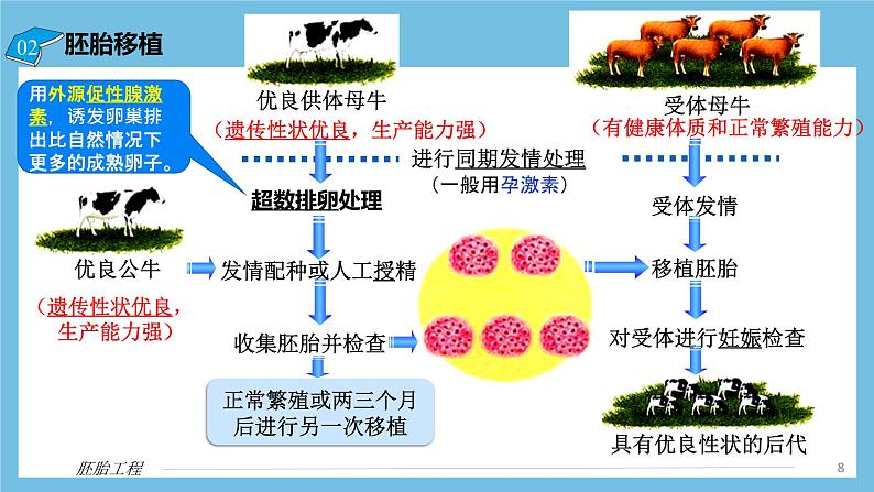 【名师特供】2.3.2《胚胎工程的操作技术》 课件 人教版高中生物选修三08