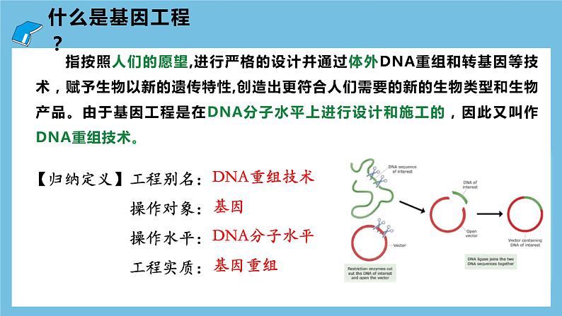 【名师特供】3.1《重组DNA技术的基本工具》 课件 人教版高中生物选修三03