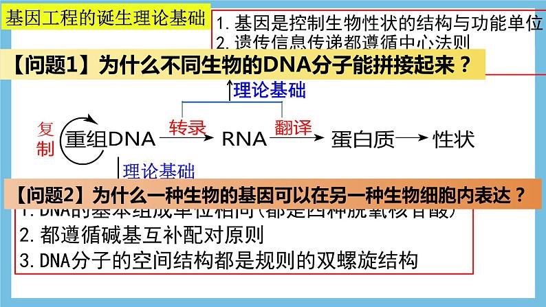 【名师特供】3.1《重组DNA技术的基本工具》 课件 人教版高中生物选修三04