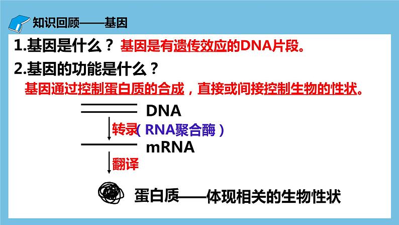 【名师特供】3.1《重组DNA技术的基本工具》 课件 人教版高中生物选修三05