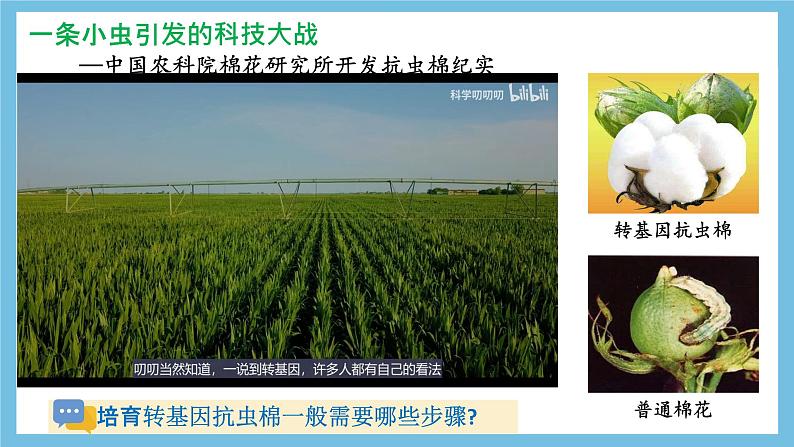 【名师特供】3.2《基因工程的基本操作程序》 课件 人教版高中生物选修三02