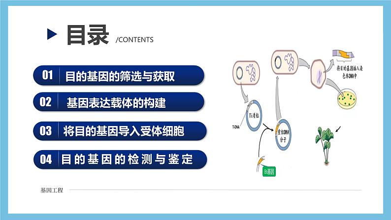 【名师特供】3.2《基因工程的基本操作程序》 课件 人教版高中生物选修三04