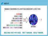 【名师特供】3.3《基因工程的应用》 课件 人教版高中生物选修三