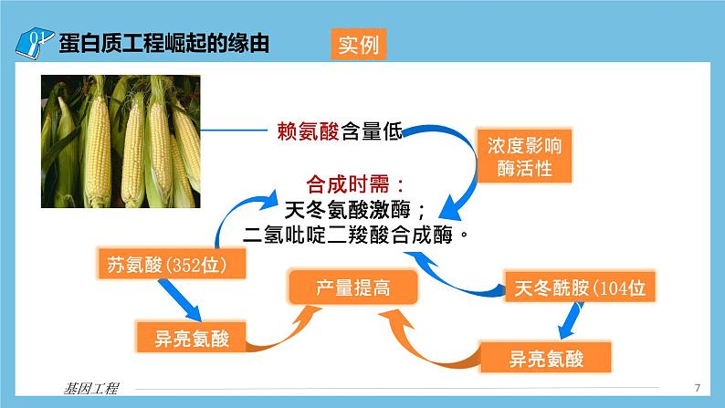 【名师特供】3.4《蛋白质工程》 课件 人教版高中生物选修三07