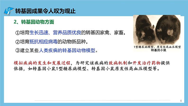 【名师特供】4.1《转基因产品的安全性》 课件 人教版高中生物选修三04