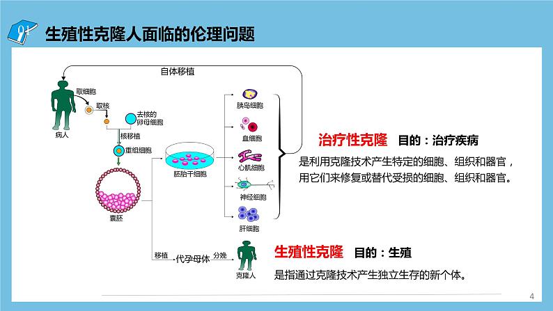 【名师特供】4.2《关注生殖性克隆人》 课件 人教版高中生物选修三04