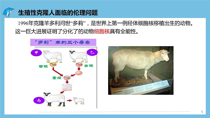 【名师特供】4.2《关注生殖性克隆人》 课件 人教版高中生物选修三05