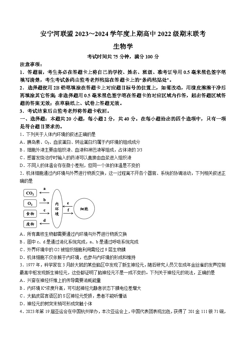 四川省凉山州安宁河联盟2023-2024学年高二上学期期末联考生物试题（Word版附答案）01