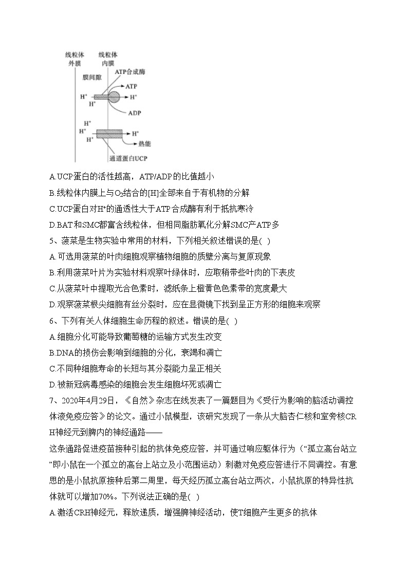 内蒙古赤峰市2023届高三上学期期末模拟考试生物试卷(含答案)02