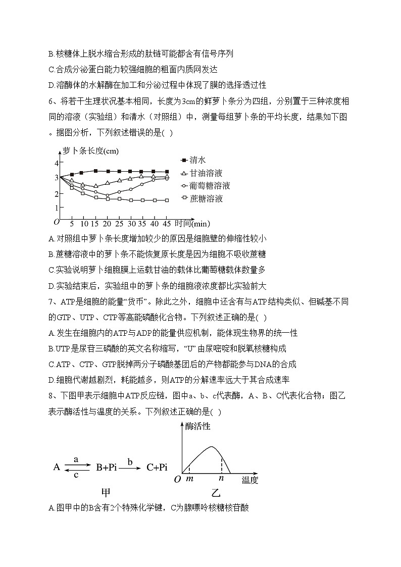 曲靖市第二中学2022-2023学年高二上学期第一次月考生物试卷(含答案)02