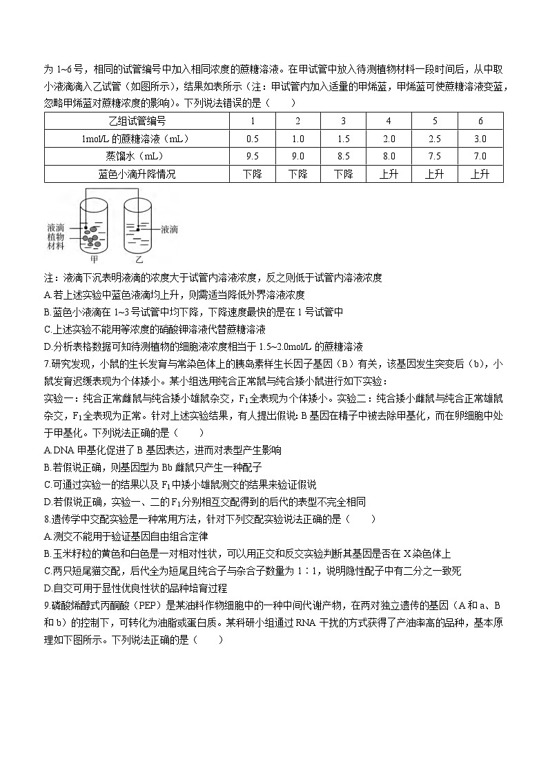 重庆市育才中学、万州高级中学及西南大学附中2024届高三上学期12月三校联考生物试题03