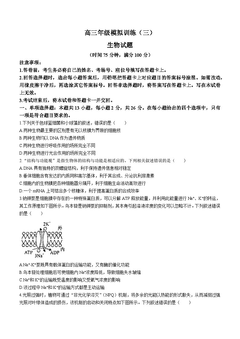 2024沧州泊头一中高三上学期11月月考试题生物含答案第1页