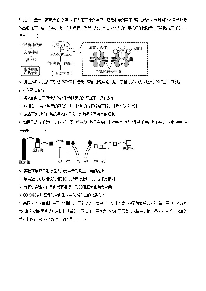 2024扬州中学高二上学期12月月考试题生物含解析第2页