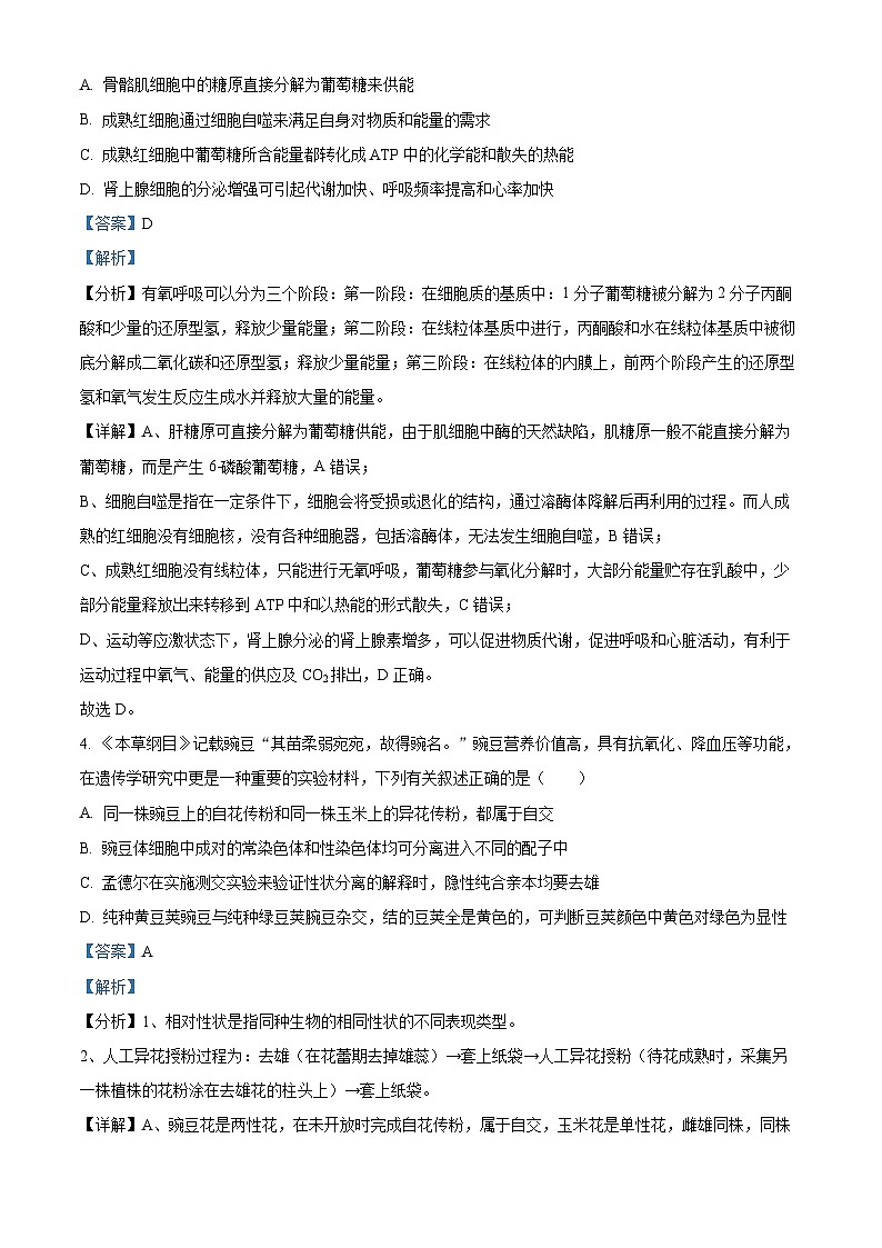八省八校T8联考2024届高三第一次学业质量评价生物试题（Word版附解析）03