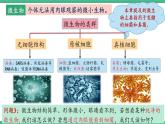 【名师特供】1.2《微生物的基本培养技术》（第1课时） 课件 人教版高中生物选修三