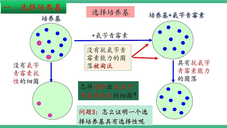 【名师特供】1.2《微生物的基本培养技术》（第3课时） 课件 人教版高中生物选修三07