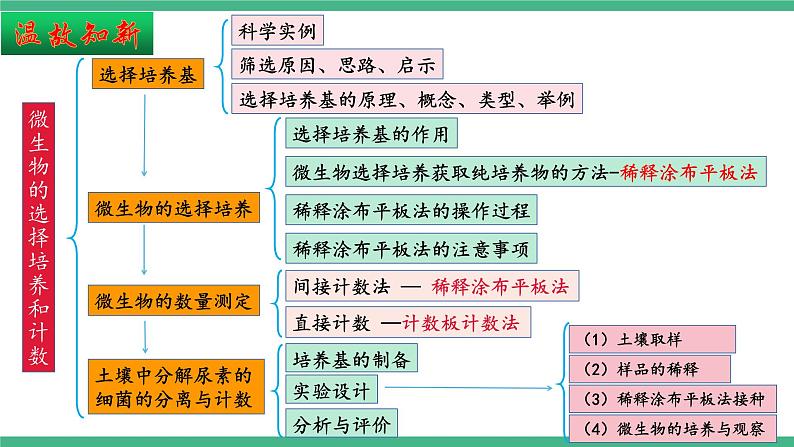 【名师特供】1.3《发酵工程及其应用》（第11课时） 课件 人教版高中生物选修三03