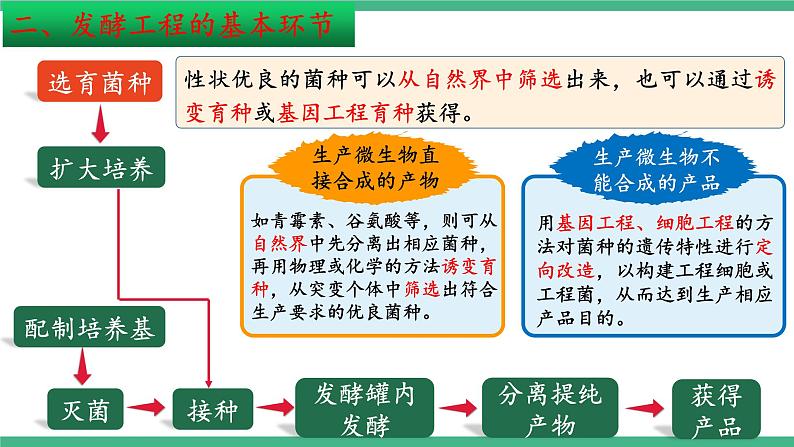 【名师特供】1.3《发酵工程及其应用》（第11课时） 课件 人教版高中生物选修三07