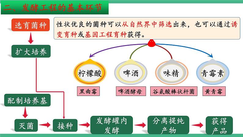 【名师特供】1.3《发酵工程及其应用》（第11课时） 课件 人教版高中生物选修三08