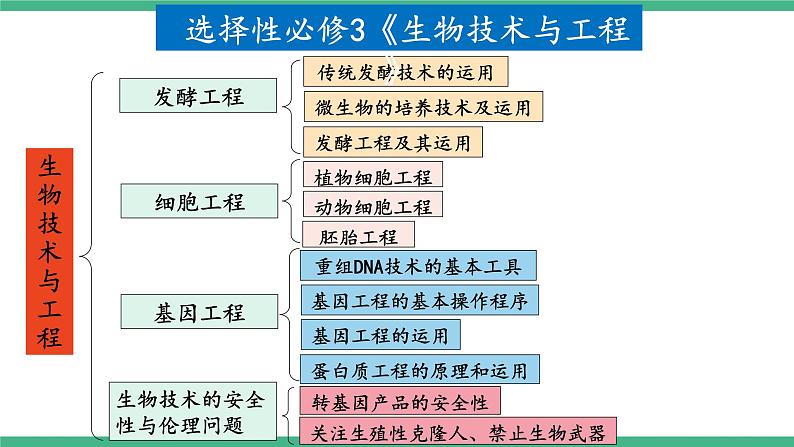 【名师特供】2.1《植物细胞工程》（第2课时） 课件 人教版高中生物选修三02