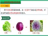【名师特供】2.1《植物细胞工程》（第2课时） 课件 人教版高中生物选修三