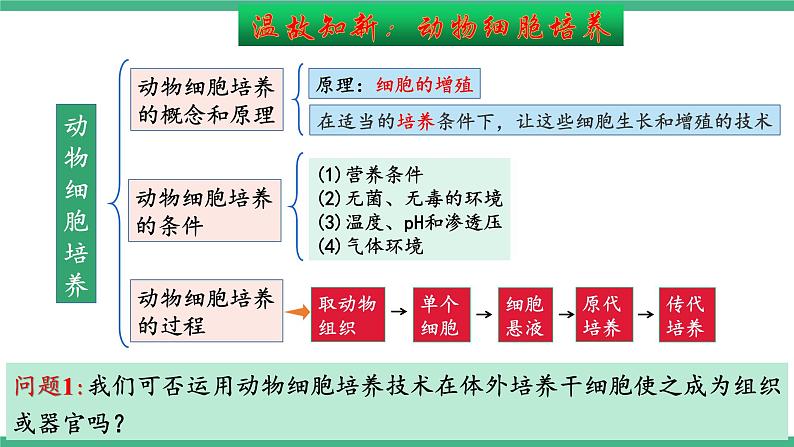 【名师特供】2.2《动物细胞工程》（第2课时） 课件 人教版高中生物选修三03