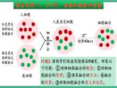 【名师特供】2.2《动物细胞工程》（第3课时） 课件 人教版高中生物选修三