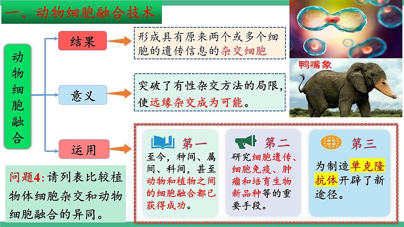 【名师特供】2.2《动物细胞工程》（第3课时） 课件 人教版高中生物选修三第6页