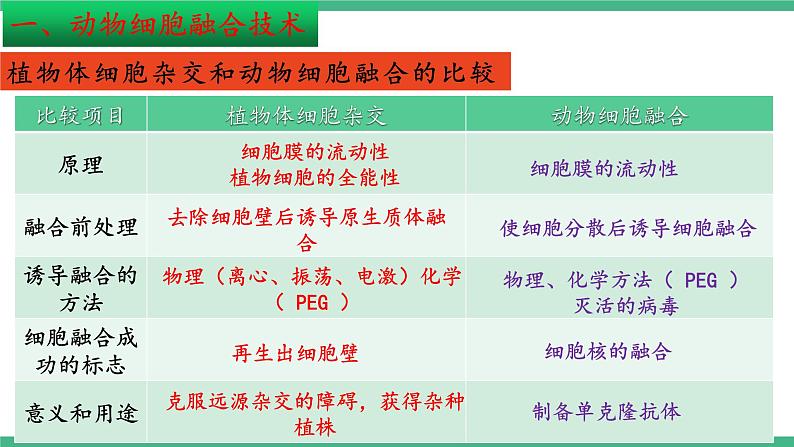 【名师特供】2.2《动物细胞工程》（第3课时） 课件 人教版高中生物选修三第7页