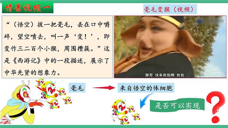【名师特供】2.2《动物细胞工程》（第4课时） 课件 人教版高中生物选修三第3页