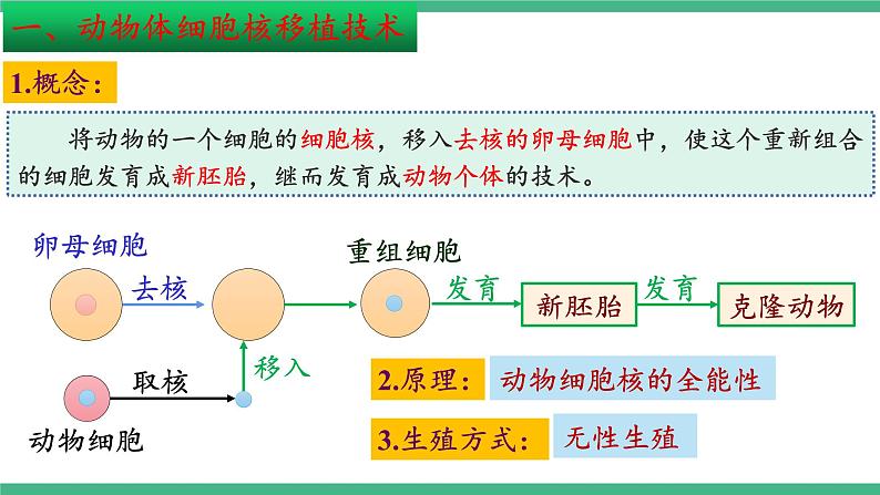 【名师特供】2.2《动物细胞工程》（第4课时） 课件 人教版高中生物选修三第6页