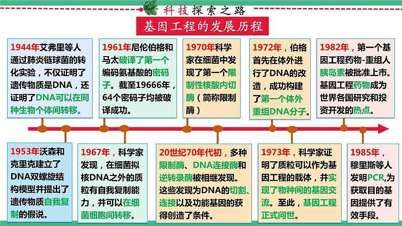 【名师特供】3.1《重组DNA技术的基本操作》（第1课时） 课件 人教版高中生物选修三02