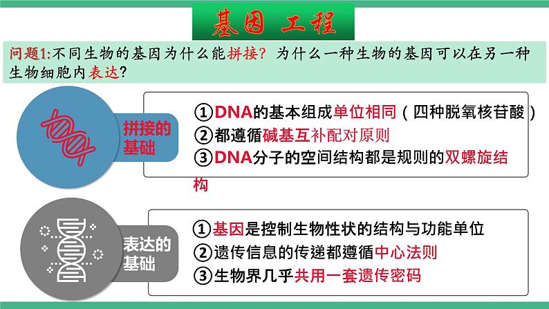 【名师特供】3.1《重组DNA技术的基本操作》（第1课时） 课件 人教版高中生物选修三05