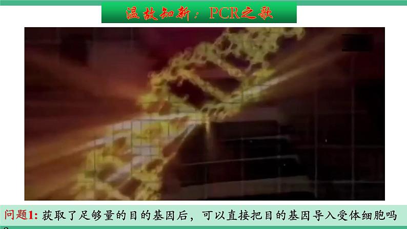 【名师特供】3.2《基因工程的基本操作程序》（第2课时） 课件 人教版高中生物选修三04