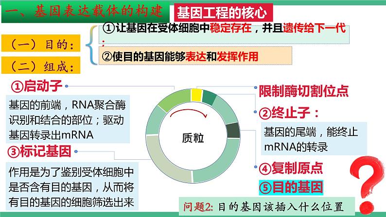 【名师特供】3.2《基因工程的基本操作程序》（第2课时） 课件 人教版高中生物选修三07