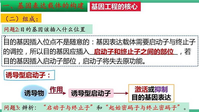 【名师特供】3.2《基因工程的基本操作程序》（第2课时） 课件 人教版高中生物选修三08