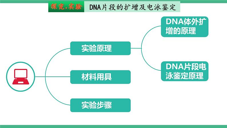 【名师特供】3.2《基因工程的基本操作程序》（第3课时） 课件 人教版高中生物选修三04