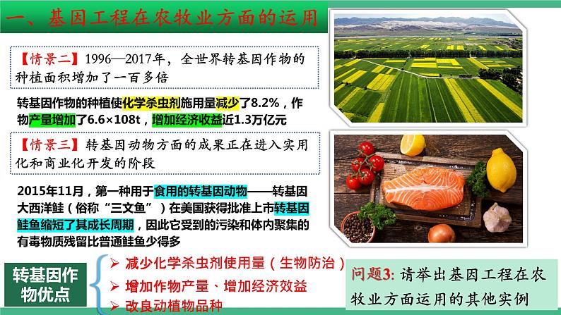 【名师特供】3.3《基因工程的应用》 课件 人教版高中生物选修三05