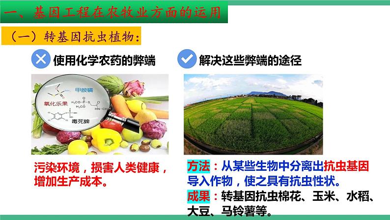 【名师特供】3.3《基因工程的应用》 课件 人教版高中生物选修三07