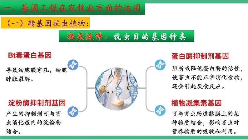 【名师特供】3.3《基因工程的应用》 课件 人教版高中生物选修三08