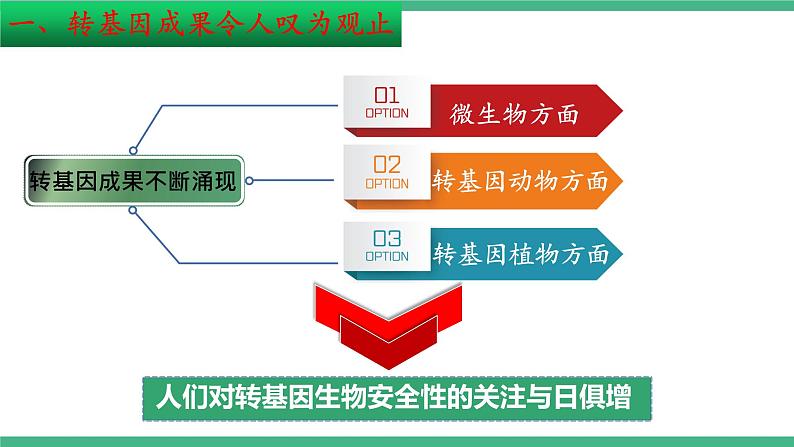 【名师特供】4.1《转基因产品的安全性》 课件 人教版高中生物选修三05