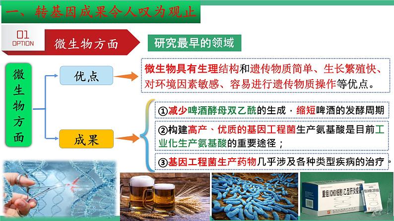 【名师特供】4.1《转基因产品的安全性》 课件 人教版高中生物选修三07