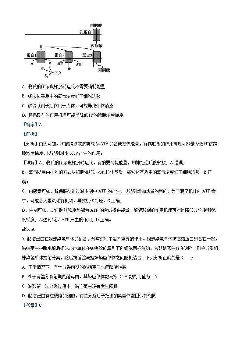 浙江省金华市一中2023-2024学年高三上学期12月月考生物试题（Word版附解析）03
